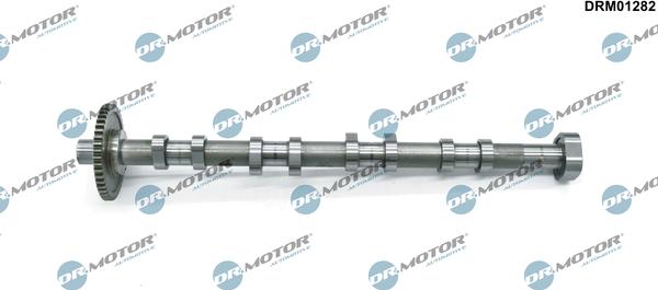 Dr.Motor Automotive DRM01282 - Camshaft car-mod.net