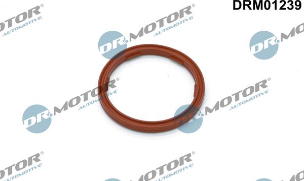 Dr.Motor Automotive DRM01239 - Seal Ring, engine oil level sensor car-mod.net
