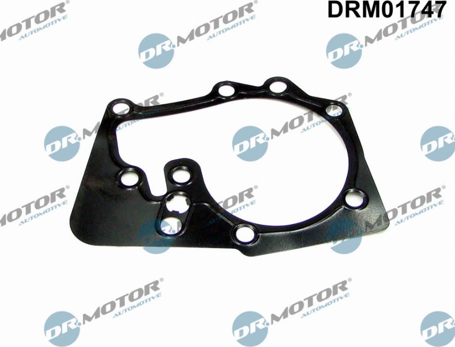 Dr.Motor Automotive DRM01747 - Gasket, water pump car-mod.net