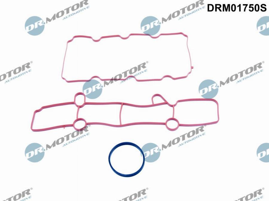 Dr.Motor Automotive DRM01750S - Gasket Set, intake manifold car-mod.net
