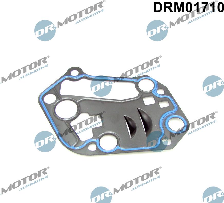 Dr.Motor Automotive DRM01710 - Seal, oil filter housing car-mod.net