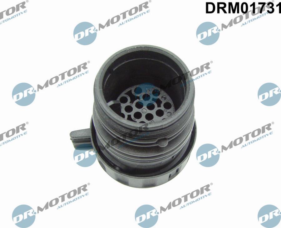 Dr.Motor Automotive DRM01731 - Plug Housing, automatic transmission control unit car-mod.net