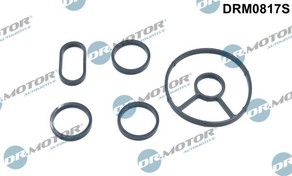Dr.Motor Automotive DRM0817S - Gasket Set, oil cooler car-mod.net