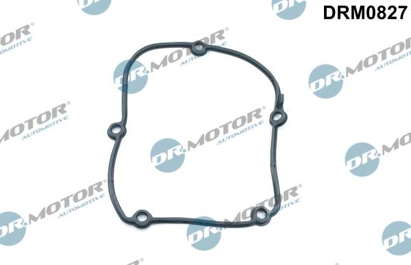 Dr.Motor Automotive DRM0827 - Timing Case Gasket, engine timing car-mod.net