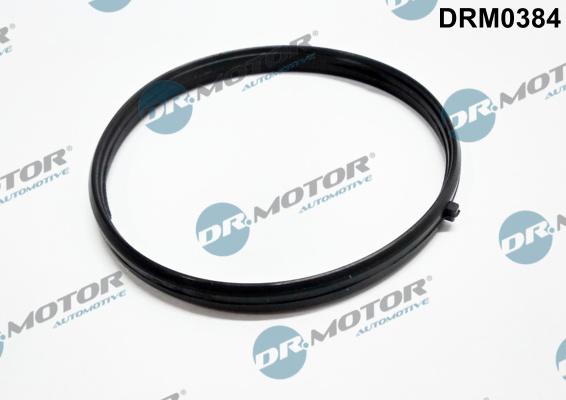 Dr.Motor Automotive DRM0384 - Gasket, intake manifold car-mod.net