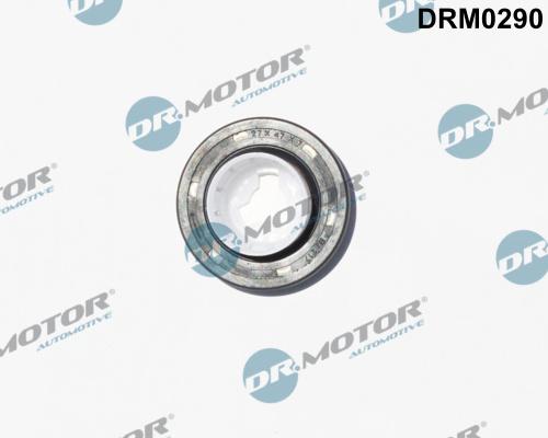 Dr.Motor Automotive DRM0290 - Shaft Seal, camshaft car-mod.net