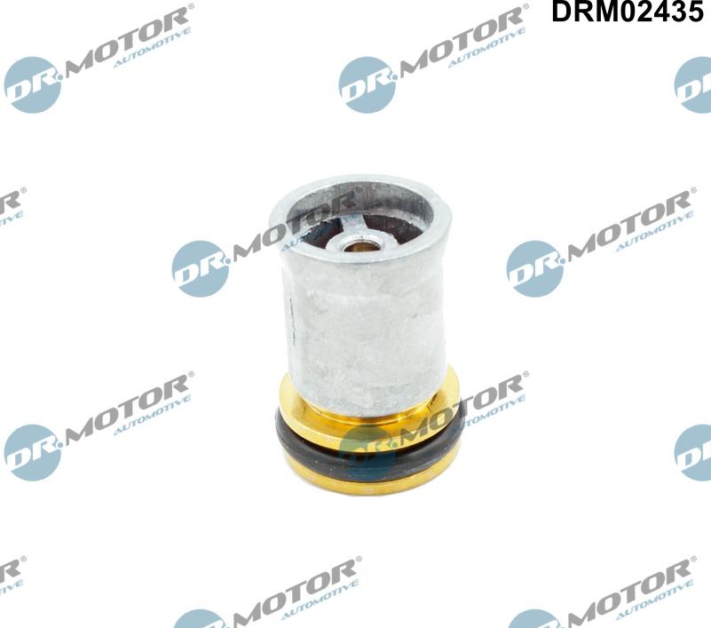 Dr.Motor Automotive DRM02435 - Non-Return Valve car-mod.net