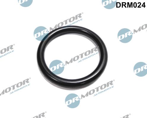 Dr.Motor Automotive DRM024 - Gasket, coolant flange car-mod.net