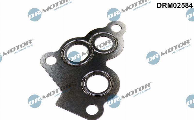 Dr.Motor Automotive DRM02584 - Seal, oil filter housing car-mod.net