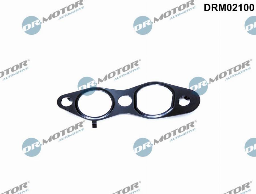 Dr.Motor Automotive DRM02100 - Seal, EGR valve car-mod.net
