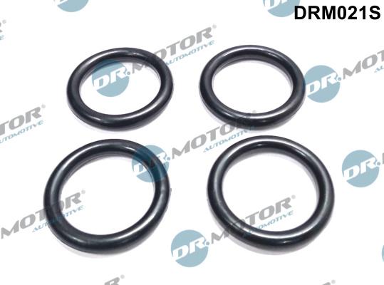 Dr.Motor Automotive DRM021S - Gasket Set, intake manifold car-mod.net