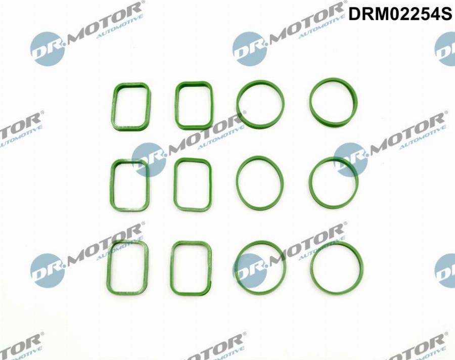 Dr.Motor Automotive DRM02254S - Gasket Set, intake manifold car-mod.net