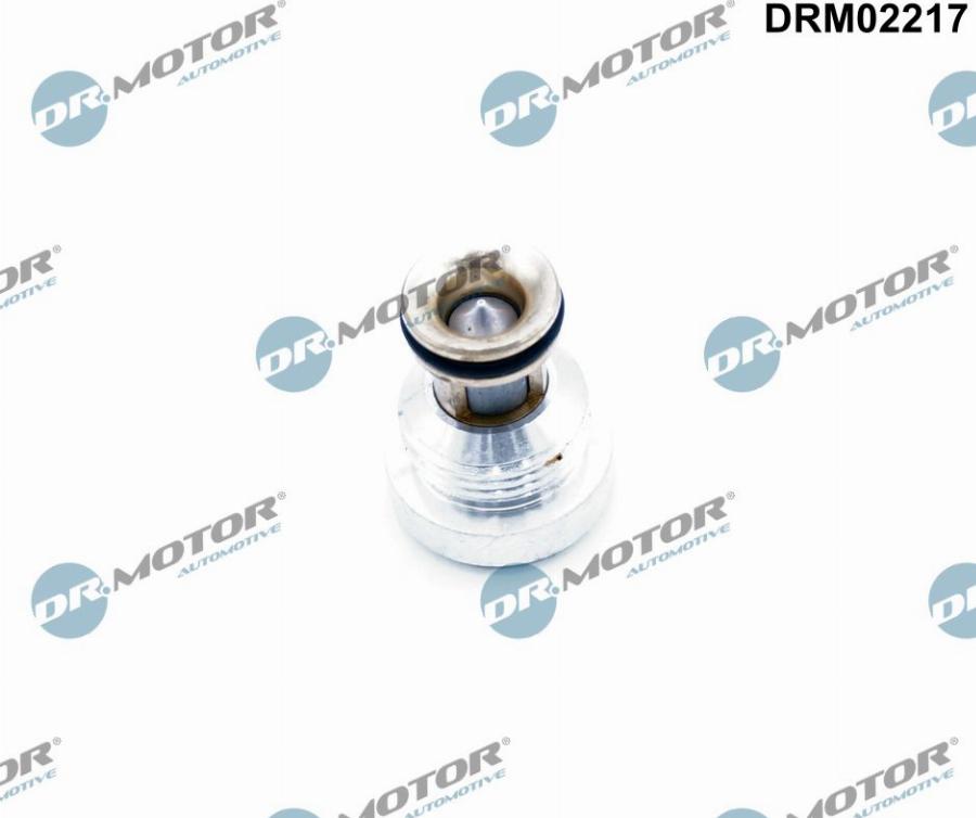 Dr.Motor Automotive DRM02217 - Non-Return Valve car-mod.net