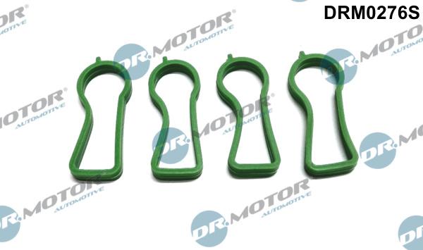 Dr.Motor Automotive DRM0276S - Gasket Set, intake manifold car-mod.net