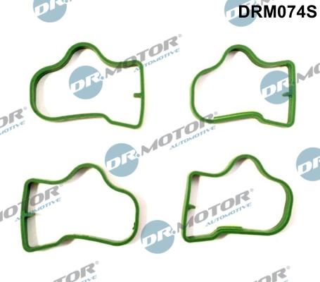 Dr.Motor Automotive DRM074S - Gasket Set, intake manifold car-mod.net