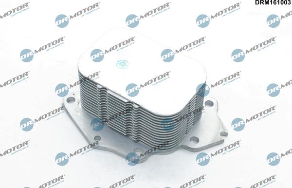 Dr.Motor Automotive DRM161003 - Oil Cooler, engine oil car-mod.net