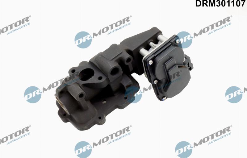 Dr.Motor Automotive DRM301107 - EGR Valve car-mod.net