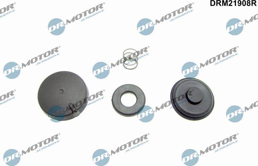 Dr.Motor Automotive DRM21908R - Repair Set, crankcase breather car-mod.net