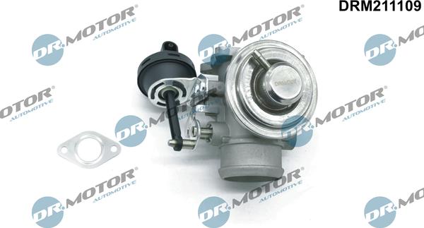 Dr.Motor Automotive DRM211109 - EGR Valve car-mod.net