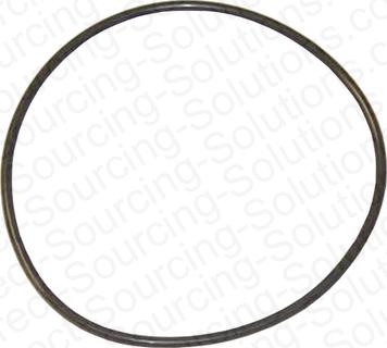 DSS 101010 - O-Ring, cylinder sleeve car-mod.net