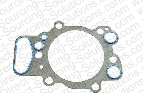 DSS 101831 - Gasket, cylinder head car-mod.net