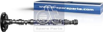 DT Spare Parts 4.69930 - Camshaft car-mod.net