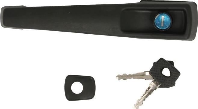 DT Spare Parts 4.60696 - Door Handle car-mod.net