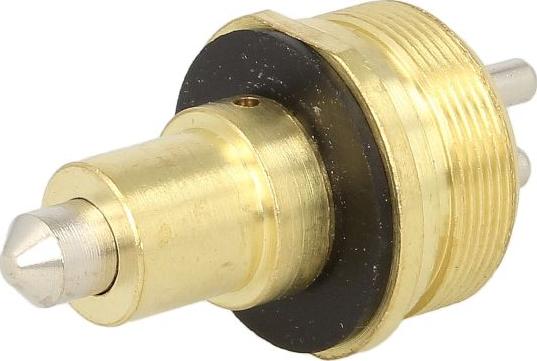 DT Spare Parts 4.60817 - Reverse light Switch car-mod.net