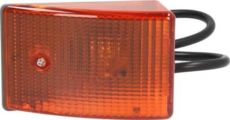 DT Spare Parts 4.63536 - Indicator car-mod.net