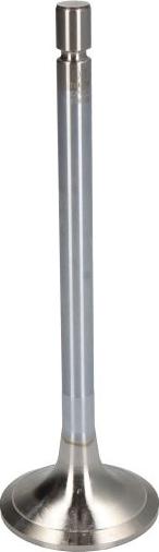 DT Spare Parts 4.62630 - Inlet Valve car-mod.net