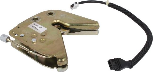 DT Spare Parts 4.62717 - Door Lock, driver cab car-mod.net