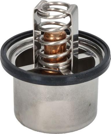DT Spare Parts 5.41096 - Coolant thermostat / housing car-mod.net