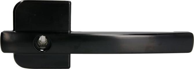 DT Spare Parts 5.60103 - Door Handle car-mod.net