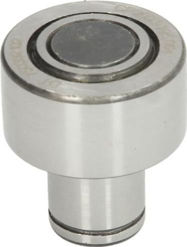 DT Spare Parts 1.13064 - Bearing, clutch lever car-mod.net