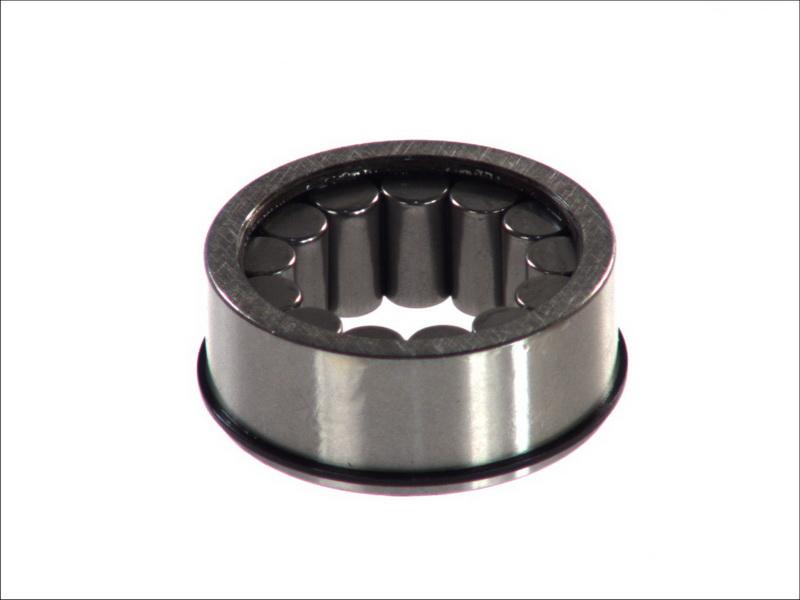 DT Spare Parts 1.17110 - Bearing, differential shaft car-mod.net