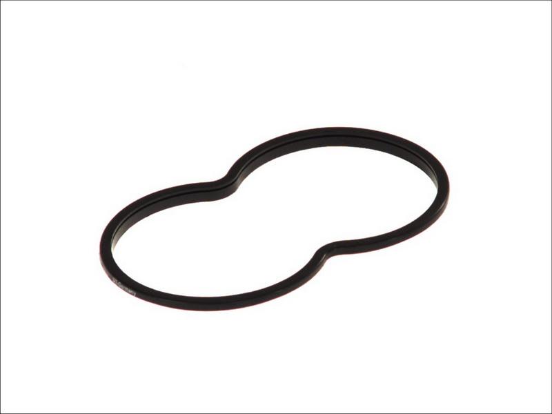 DT Spare Parts 1.24111 - Gasket, thermostat housing car-mod.net