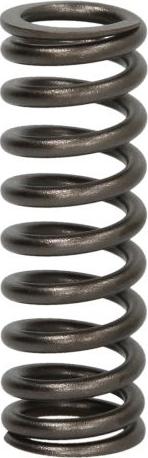 DT Spare Parts 2.10275 - Valve Spring car-mod.net