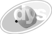 DYS 74-10669 - Leaf spring Mounting car-mod.net