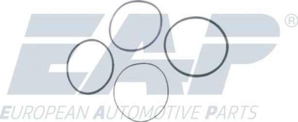 EAP EAP391 - O-Ring Set, cylinder sleeve car-mod.net