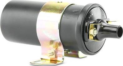 EFI 155198 - Ignition Coil car-mod.net