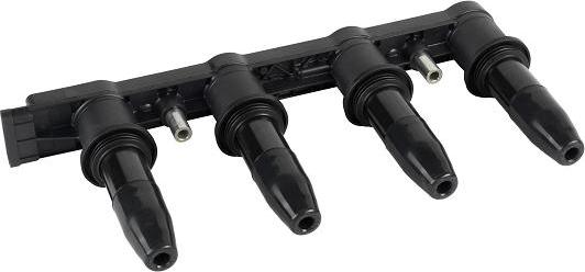 EFI 155205 - Ignition Coil car-mod.net