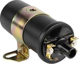 EFI 155216 - Ignition Coil car-mod.net