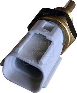 EFI 295055 - Coolant temperature Sensor car-mod.net