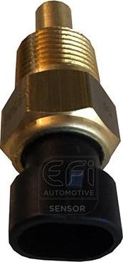 EFI 295069 - Sensor, oil temperature car-mod.net