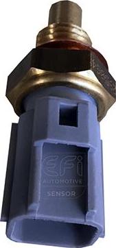EFI 295064 - Coolant temperature Sensor car-mod.net