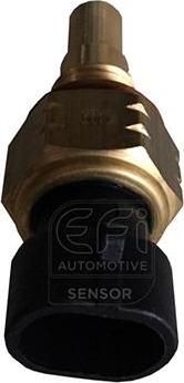 EFI 295066 - Coolant temperature Sensor car-mod.net