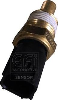EFI 295068 - Coolant temperature Sensor car-mod.net