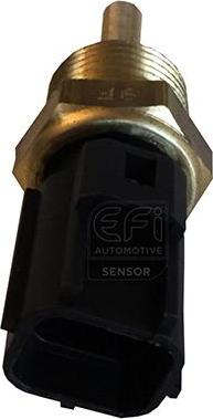 EFI 295062 - Coolant temperature Sensor car-mod.net