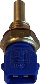 EFI 295001 - Coolant temperature Sensor car-mod.net