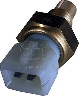 EFI 295007 - Coolant temperature Sensor car-mod.net